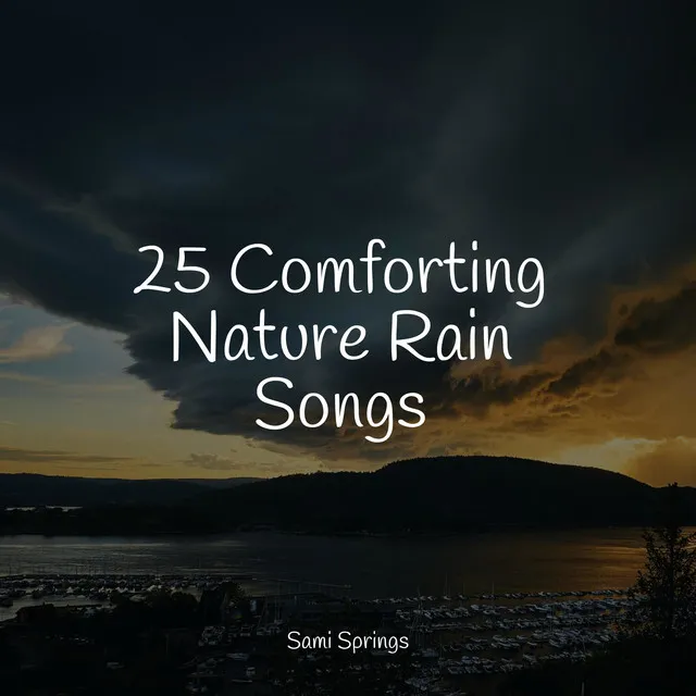 25 Comforting Nature Rain Songs