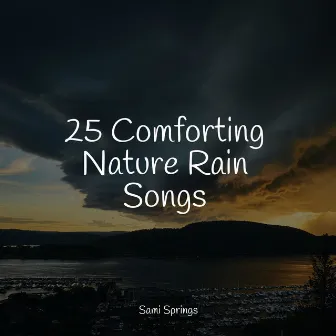 25 Comforting Nature Rain Songs by Unknown Artist