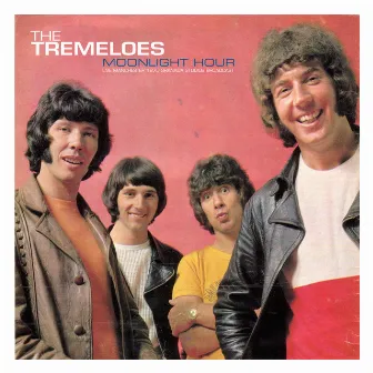 Moonlight Hour (Live 1970) by The Tremeloes