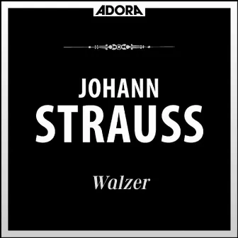 Strauss: Walzer, Vol. 1 by Eduard Strauss