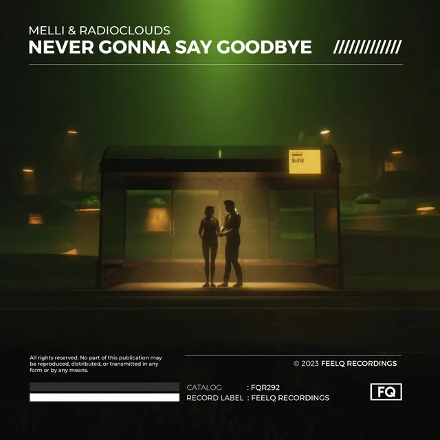 Never Gonna Say Goodbye