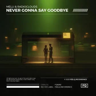 Never Gonna Say Goodbye by Radioclouds