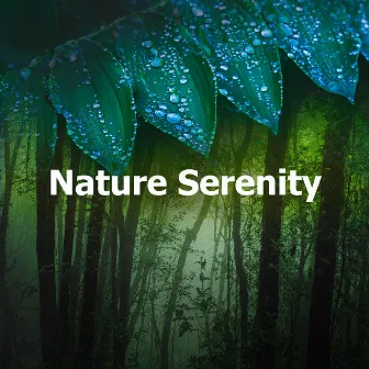 Nature Serenity by Mother Nature Recordings