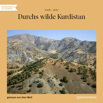 Durchs wilde Kurdistan (Ungekürzt) by Alex Wolf