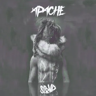 Apache by SCRVP