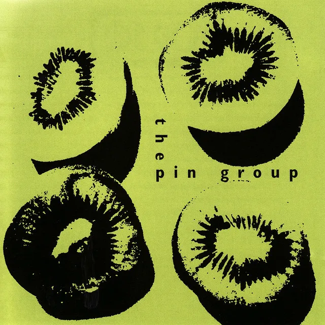 The Pin Group