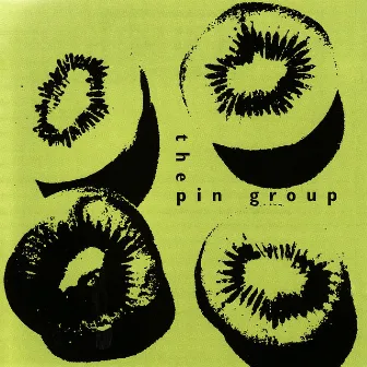 The Pin Group by Pin Group