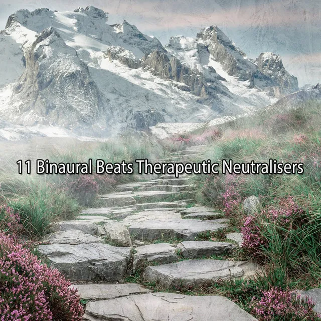 11 Binaural Beats Therapeutic Neutralisers