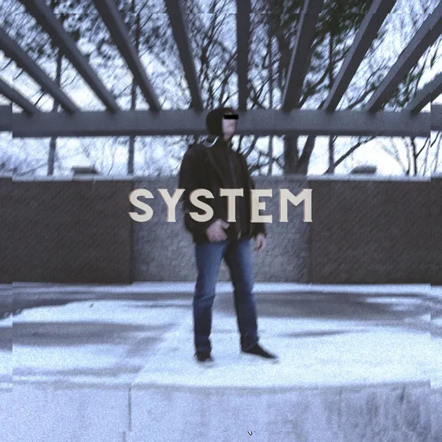 System