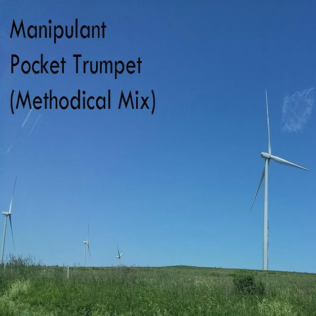 Pocket Trumpet (Methodical Mix)