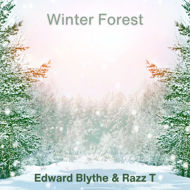 Winter Forest