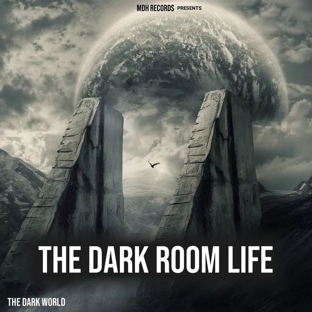 The Dark Room Life (From "The Dark World")