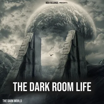 The Dark Room Life (From 