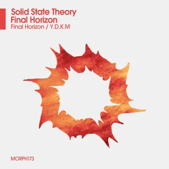 Final Horizon by Solid State Theory