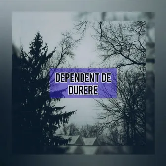 Dependent De Durere by MR.SKIT