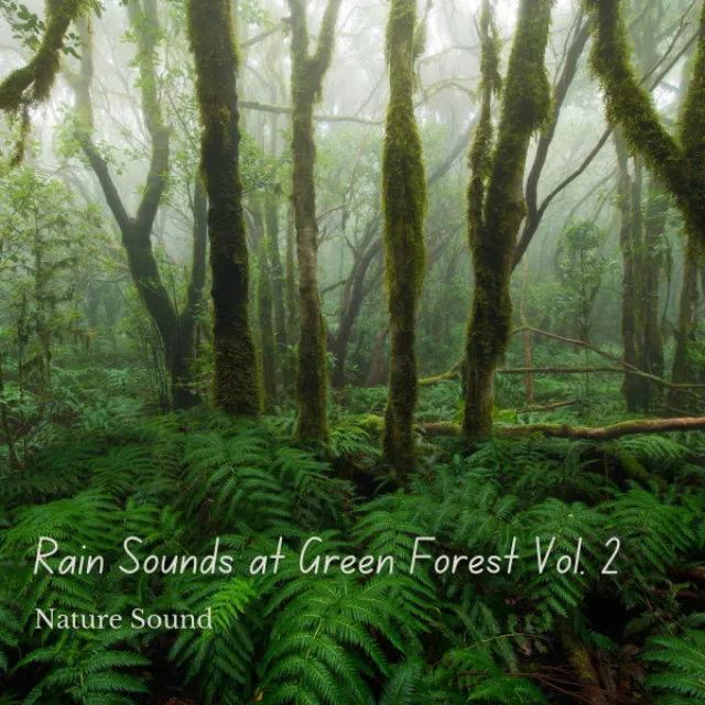 Nature Sound: Rain Sounds at Green Forest Vol. 2