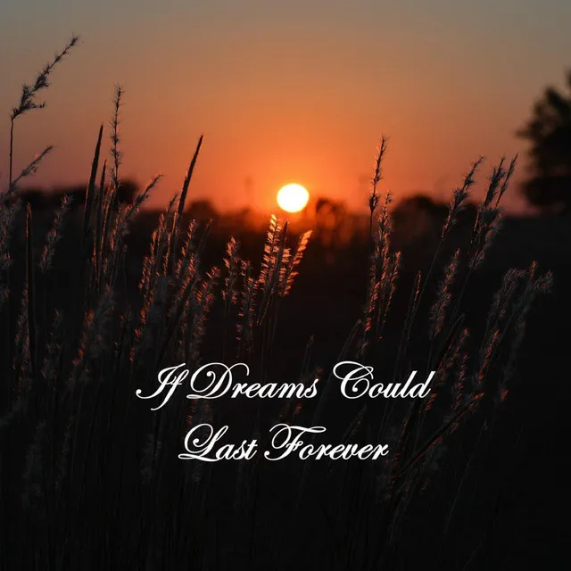 If Dreams Could Last Forever (feat. Melissa Duvall)