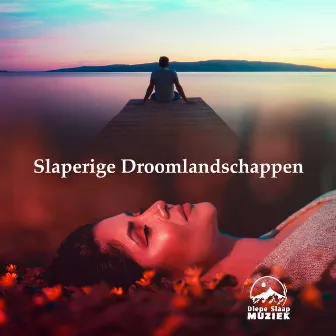 Slaperige Droomlandschappen by Diepe Slaap Muziek