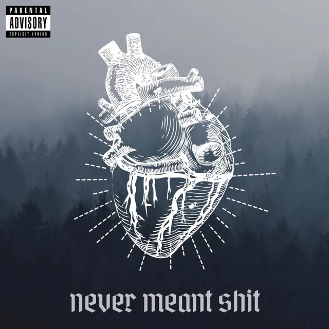 Never Meant Shit