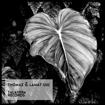 Talavera Records 04 by Thomaz (Mex)