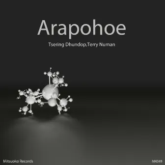 Arapohoe by Terry Numan