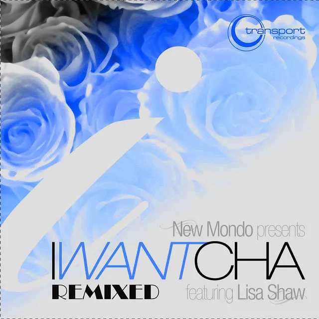 I Want Cha - Remixed (feat. Lisa Shaw)