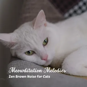 Meowditation Melodies: Zen Brown Noise for Cats by Noise Foundation