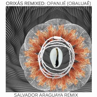 Orixás Remixed: Opanijé (Obaluaê) [Salvador Araguaya Remix] by Aloísio Menezes