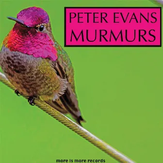 Murmurs by Peter Evans