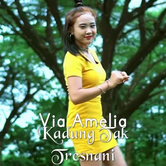 Kadung Tak Tresnani by Via Amelia