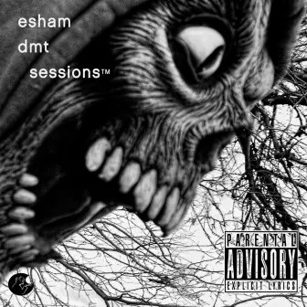 DMT Sessions by Esham