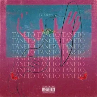 TaneTo by BARB9D