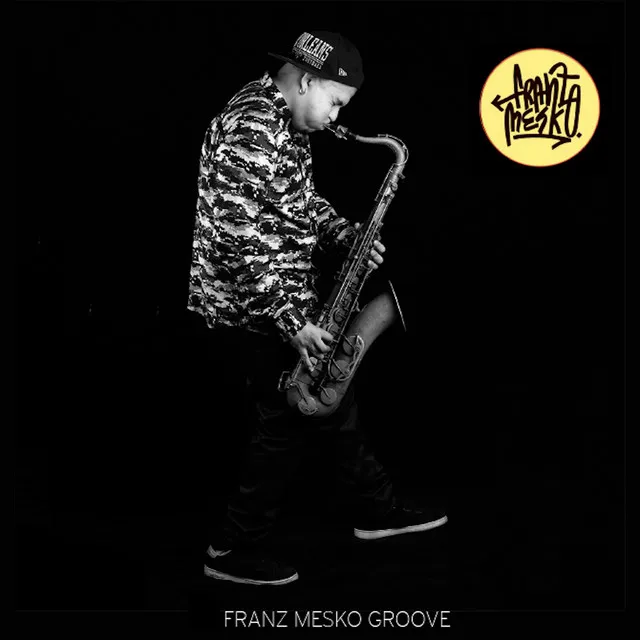 Franz Mesko Groove