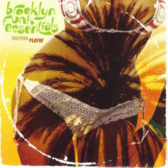 Watcha Playin' by Brooklyn Funk Essentials