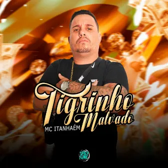 Tigrinho Malvadão by Mc Itanhaém