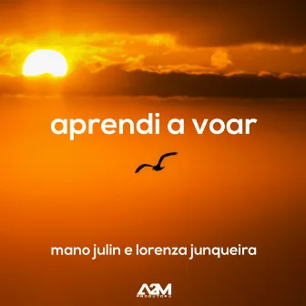 Aprendi a Voar by Lorenza Junqueira