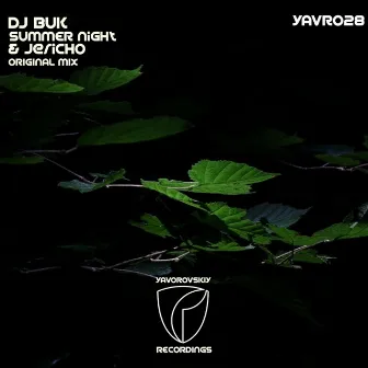 Summer Night by DJ Buk