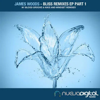 Bliss Remixes Part 1 by James Woods