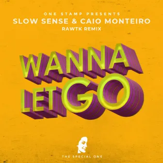 Wanna Let Go (Rawtk Remix) by Caio Monteiro