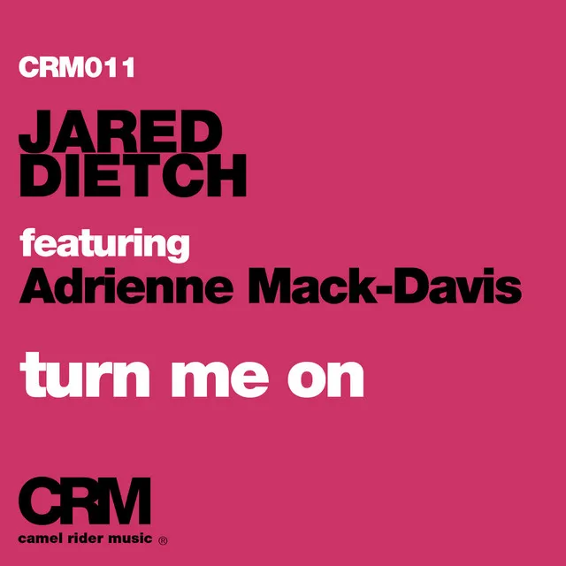 Turn Me On (feat. Adrienne Mack-Davis) (Adrien Mezsi Dub)