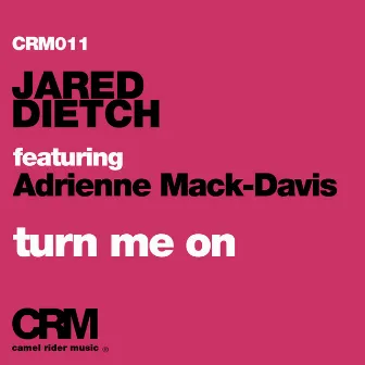 Turn Me On (feat. Adrienne Mack-Davis) by Jared Dietch