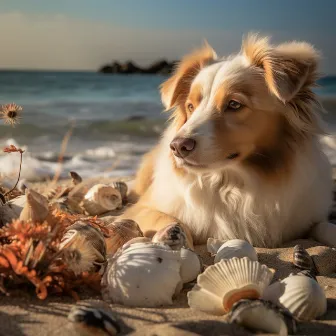 Mareas Melódicas: Tranquilidad Para Amantes De Los Perros by Perros calmantes