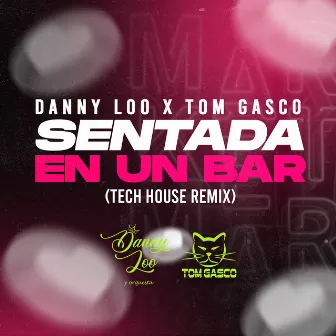 Sentada En Un Bar (Tech House Remix) by Tom Gasco