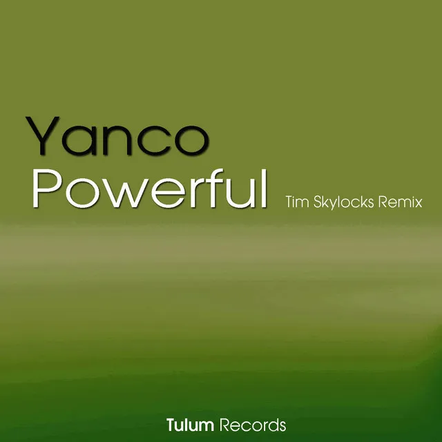 Powerful (Tim Skylocks Remix)