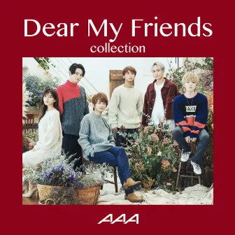 Dear My Friends Collection by AAA