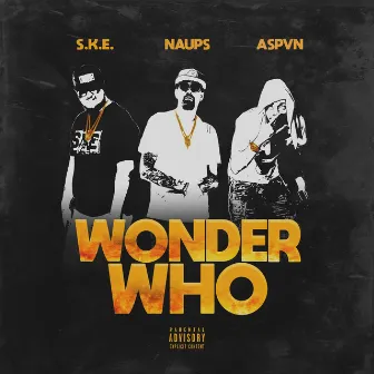 Wonder Who by Naups