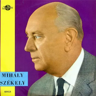 Mihály Székely Sings 1. by Pal Varga