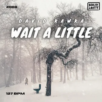 Wait A Little by David Kawka