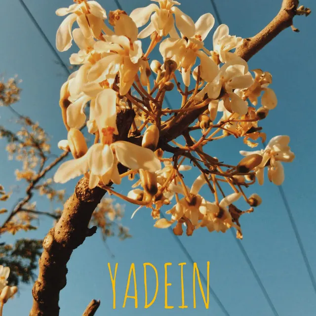 Yadein