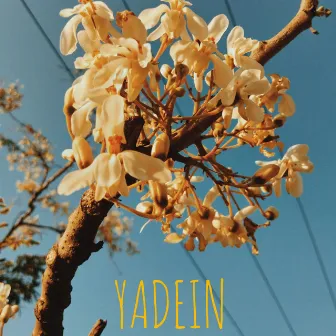 Yadein by Xkrill